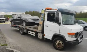 66
